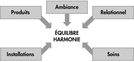 schema-expertise