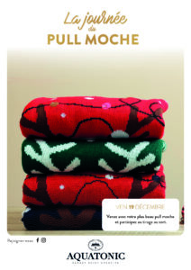 journee pull de noel rennes