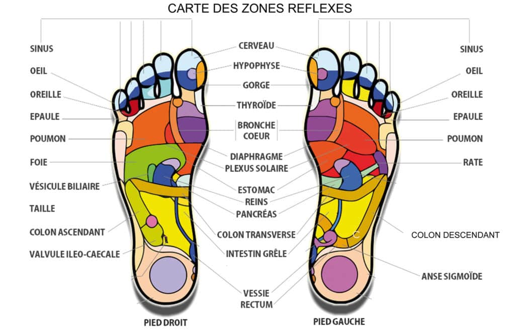 réflexologie plantaire