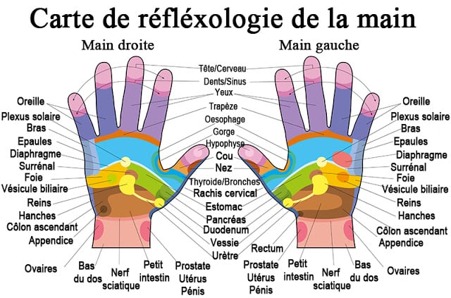 réflexologie palmaire