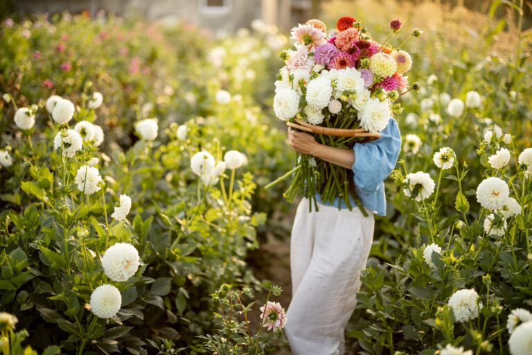 fleurs